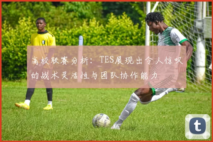 高校联赛分析：TES展现出令人惊叹的战术灵活性与团队协作能力