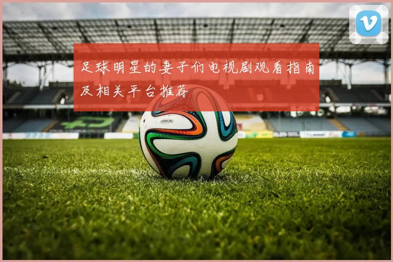 足球明星的妻子们电视剧观看指南及相关平台推荐