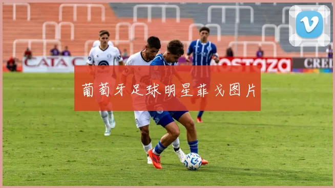 葡萄牙足球明星菲戈图片